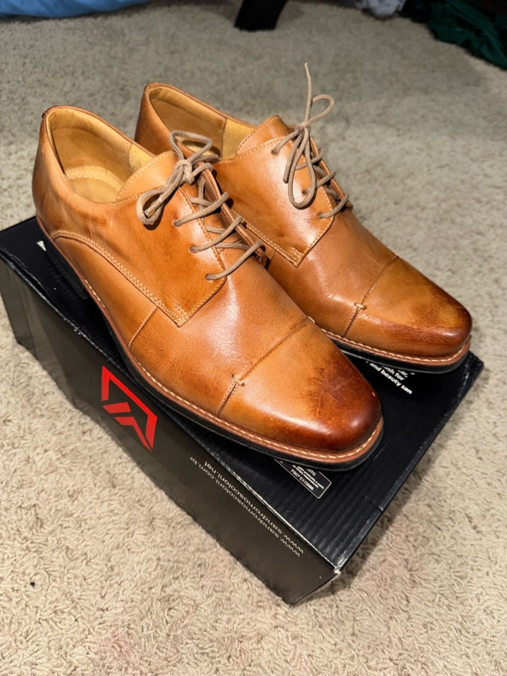 Sandro Moscoloni Men's Cognac Leather Cap-Toe Derby